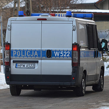 Pies pogryz� dziecko. To ju� drugie pogryzienie w ostatnim czasie!