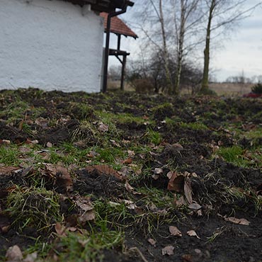 Terroryzuj� mnie dziki. Mam dosy�!