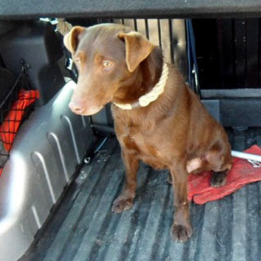 Felek czeka na nowego w�a�ciciela