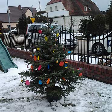 Uniwersalna choinka... przyda�a si� w Wielkanoc