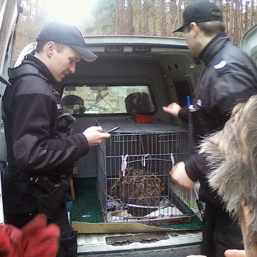 Policjanci pomagaj� nie tylko ludziom. Ratowali bielika