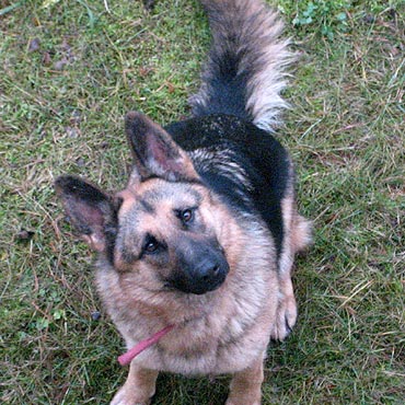 Czytelnicy ikamien.pl pomogli odnale�� Rit�. Ca�a i zdrowa wr�ci�a do domu