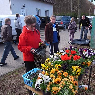 Wapnica: Zebrali ponad tonę elektroodpadów