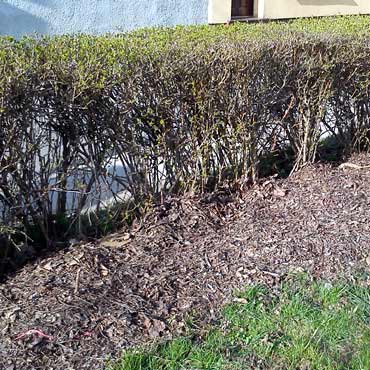 Kamie� Pomorski: Li�cie le�� od ubieg�ego roku