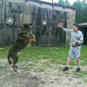 Dzieci z Ostromic w gospodarstwie rolnym w Skoszewie