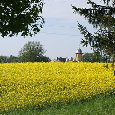 Wyniki konkursu fotograficznego „Maj w Gminie �wierzno”