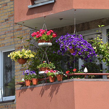 Pochwal si� naj�adniejszym balkonem lub ogrodem