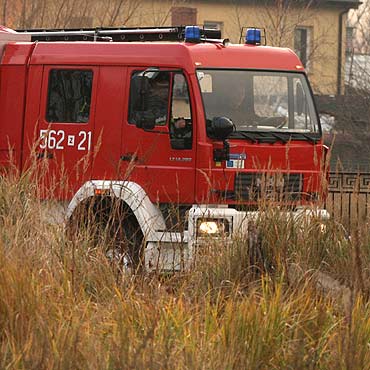 Stra�acy uratowali 6 byk�w