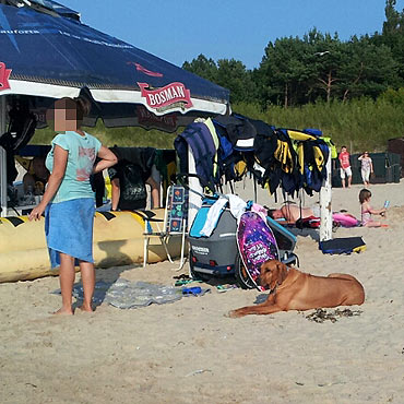 Wolna amerykanka w Mi�dzyzdrojach. Tury�ci nie przestrzegaj� �adnych zasad