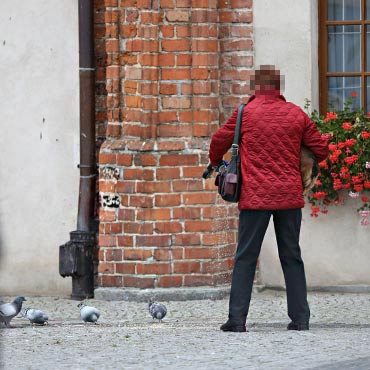 Gobie nie przeszkadzaj, ale dokarmia nie wolno