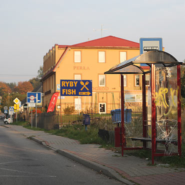 Bezmyślni wandale zdewastowali przystanek