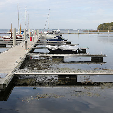 Wodorosty psuj� wizerunek mariny w Kamieniu