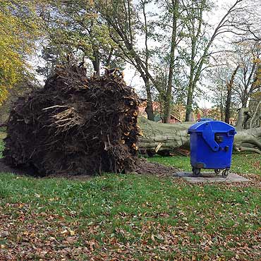 Mieszka�cy Gostynia i Trzebieradza bez pr�du 