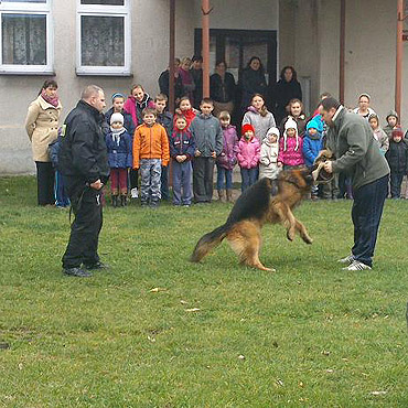 Pies policyjny w Koniewie