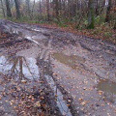 Stan drogi z Chomina do B�dzieszewa pozostawia wiele do �yczenia 