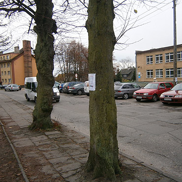 W Kamieniu Pomorskim wieszaj� og�oszenia gdzie popadnie