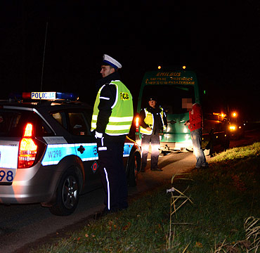 Kolizja z dzikiem mi�dzy �winouj�ciem a Mi�dzyzdrojami