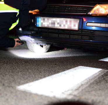 Kolizja z dzikiem mi�dzy �winouj�ciem a Mi�dzyzdrojami