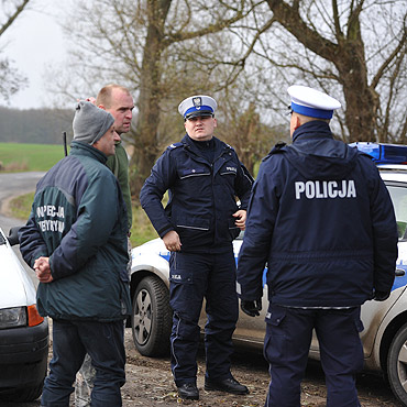 Nie wiadomo kiedy b�d� od�awia� �osia ponownie. Sp�oszone zwierz� uciek�o na pobliskie bagna.
