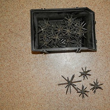 Z tym przyjechali pseudokibice na mecz.....