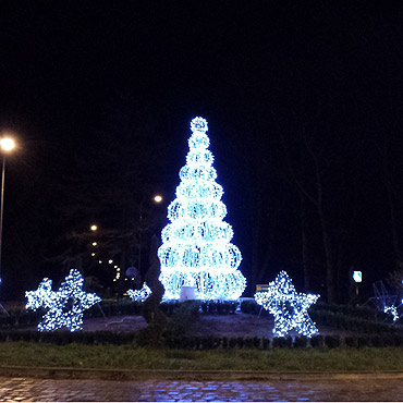 Choinki w Dziwnowie i Dziwn�wku ju� �wiec�!
