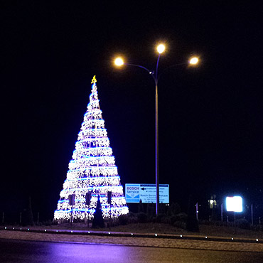 Choinki w Dziwnowie i Dziwn�wku ju� �wiec�!