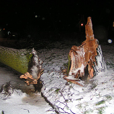 Kto policzy  koszty  interwencji  w czasie ostatniej  wichury  i  wska�e winnego zaniedba�  