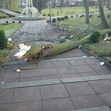 Powalone drzewa w Mi�dzyzdrojach!