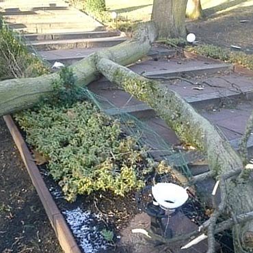 Powalone drzewa w Mi�dzyzdrojach!