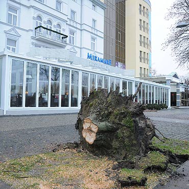 Powalone drzewa w Mi�dzyzdrojach!