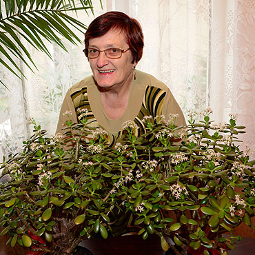 Pani Zosi z Wolina zakwit�o drzewko szcz�cia