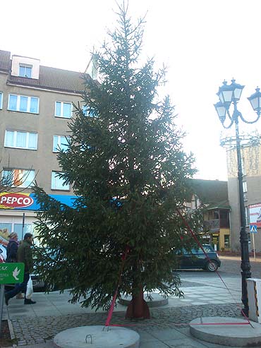 Takiej choinki jeszcze nie by�o!