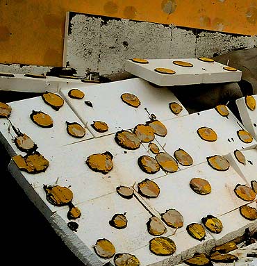 Fuszerka w centrum miasta