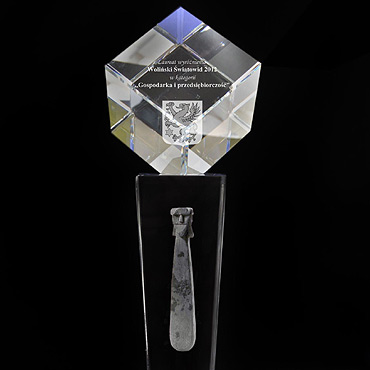 Zg�o� kandydata do wyr�nienia „Woli�ski �wiatowid 2013”
