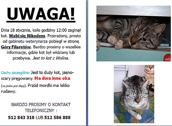 Pom�cie znale�� tego kiciusia