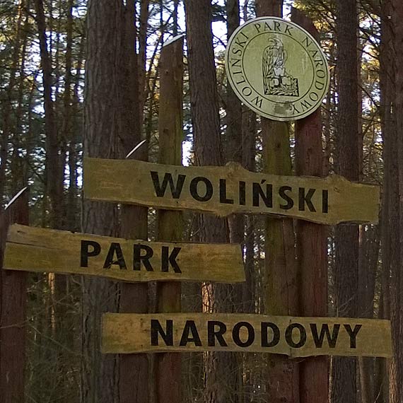 Dyrektor odwołany. Minister szuka osoby z nową wizją