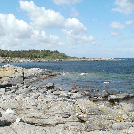 Pierwsze polsko-duńskie regaty wystartują z Kamienia Pomorskiego