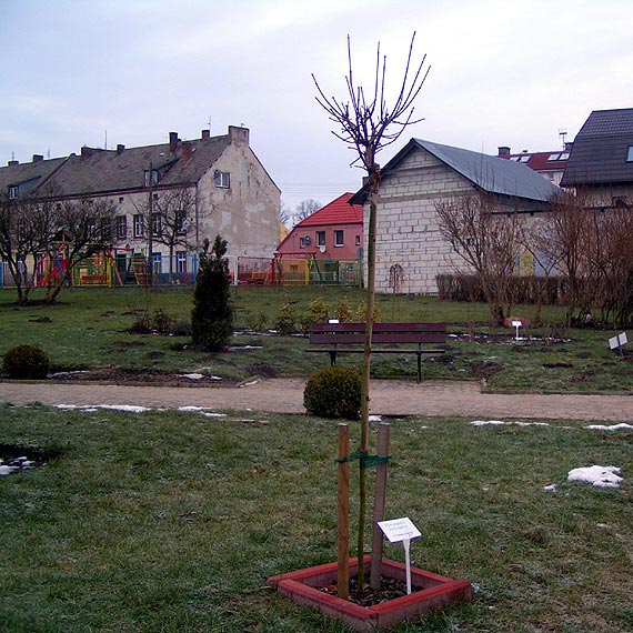 Miasto upi�ksza, chuligani dewastuj�