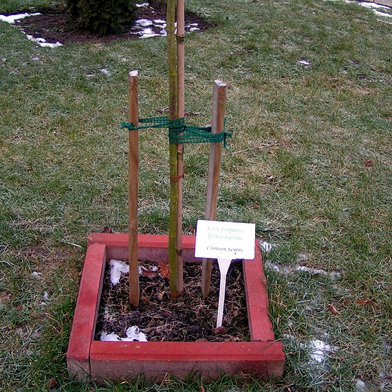 Miasto upi�ksza, chuligani dewastuj�