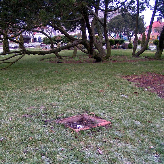 Miasto upi�ksza, chuligani dewastuj�