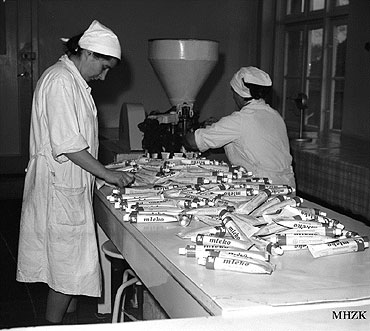 Historia kamie�skiej mleczarni