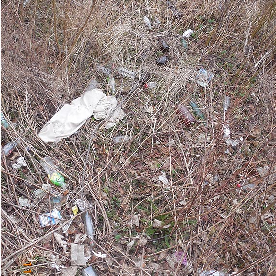 Z cyklu: "Miejsca, kt�re strasz�"