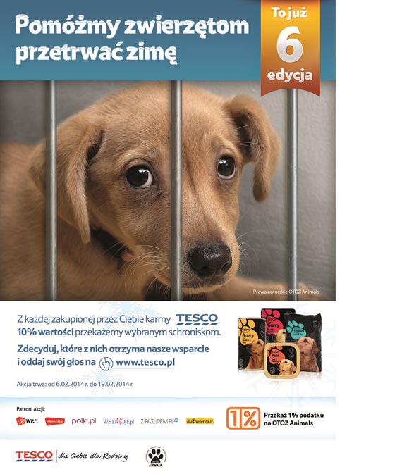 Schroniska z wojew�dztwa zachodniopomorskiego czekaj� na g�osy