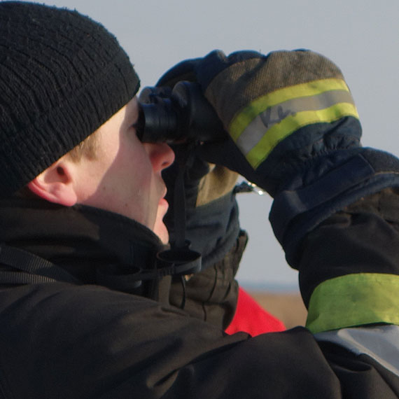 Kobieta widzia�a psy na krze