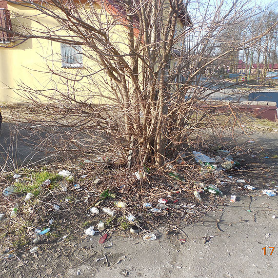 Śmieci zamiast liści