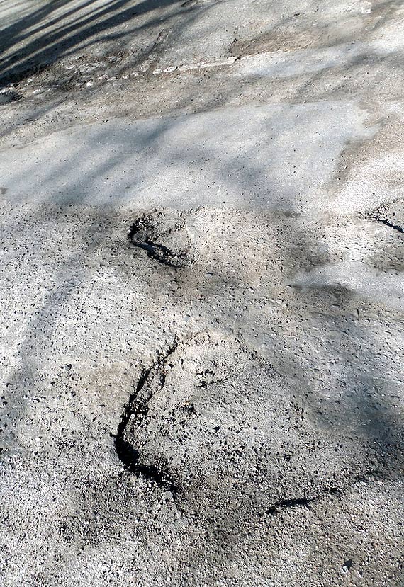 Jak Kamie� Pomorski wita turyst�w.