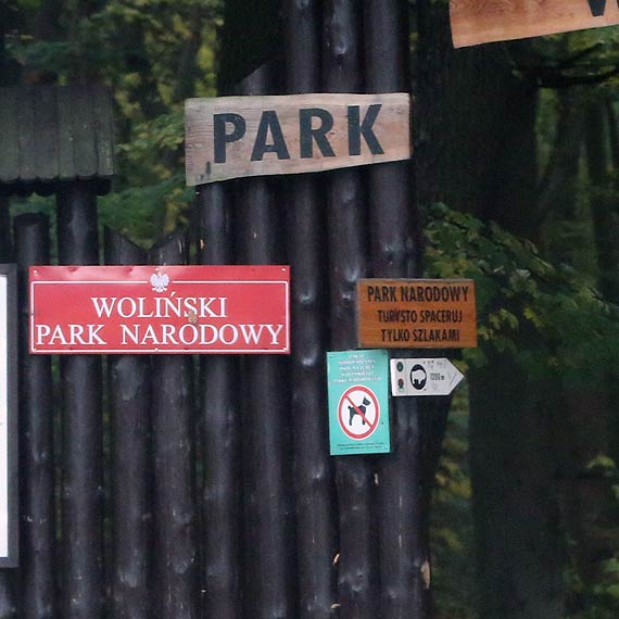 Ostatnia szansa, by zostać dyrektorem