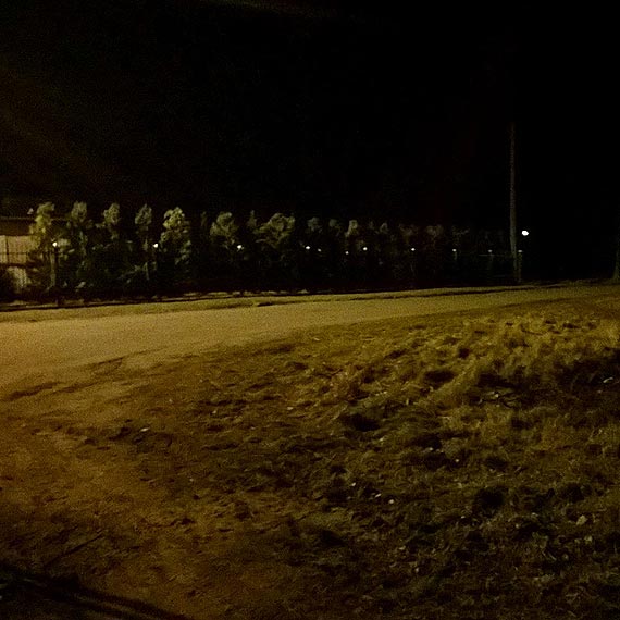 Urząd Miejski:Oświetlenie ulicy Wilków Morskich wiąże się z budową nowego oświetlenia ulicznego