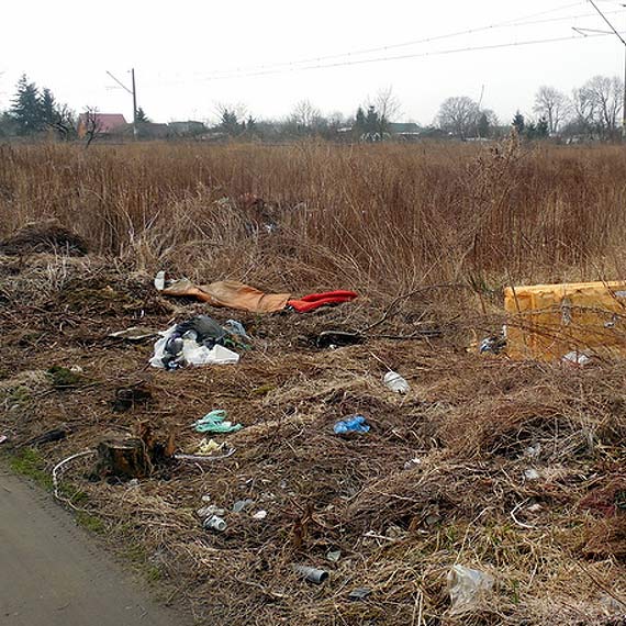 Czytelnik zwr�ci� uwag� na wysypisko �mieci: "To jest skandal"