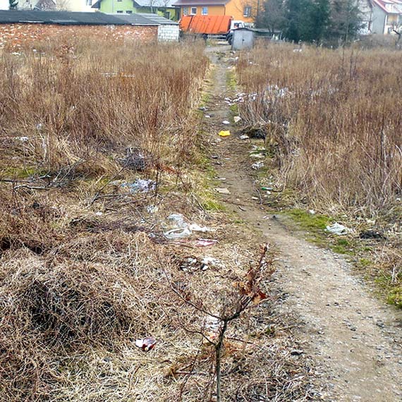 Czytelnik zwr�ci� uwag� na wysypisko �mieci: "To jest skandal"